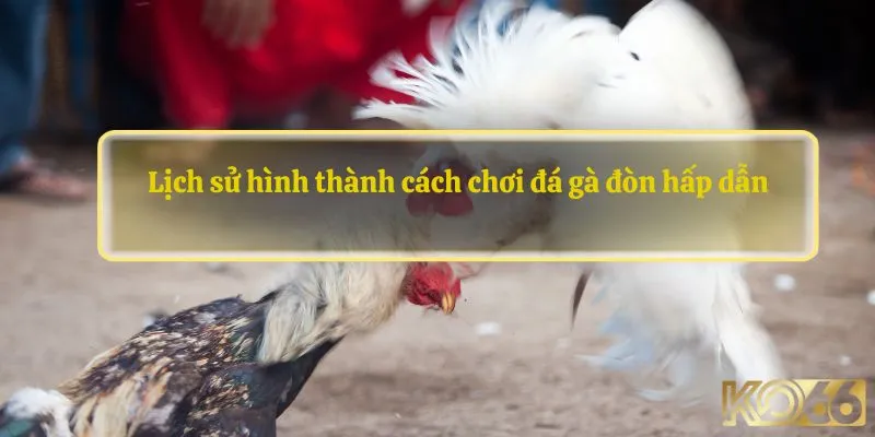 Lịch sử hình thành cách chơi đá gà đòn hấp dẫn