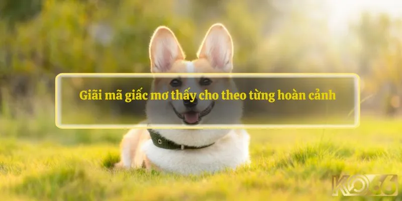 Giãi mã giấc mơ thấy cho theo từng hoàn cảnh